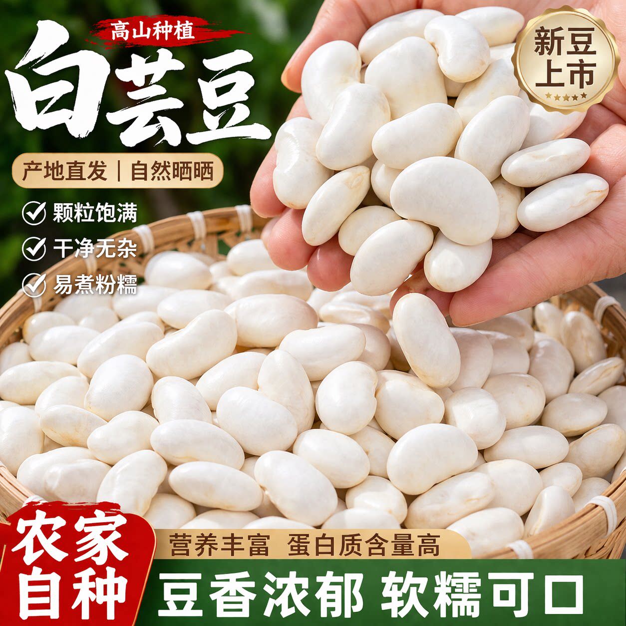 云南大理农家特大白芸豆干货新鲜腰豆煲汤专用云豆类扁豆大白豆子