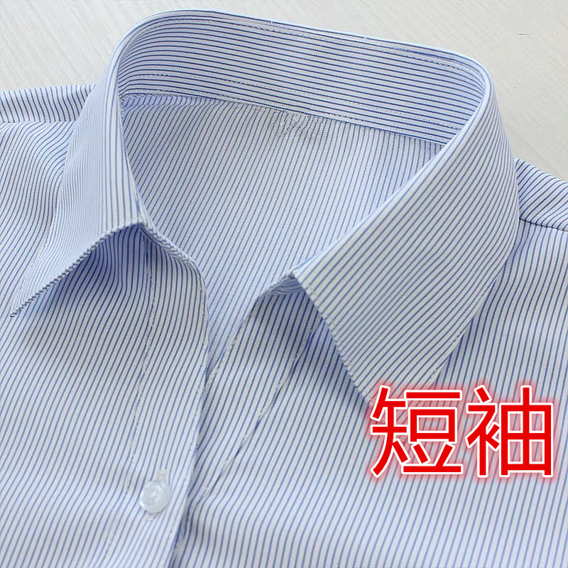 女士白底蓝条纹职业衬衫V