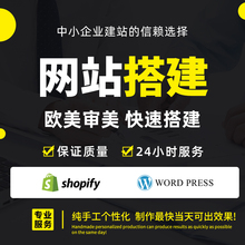 seo优化wordpress自建站elementor外贸网站搭建独立站产品代发布