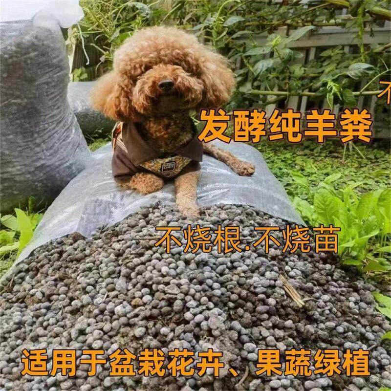 羊粪发酵有机肥农家肥纯羊粪蛋颗粒养花种菜花卉园艺通用肥料,鲜花速递/花卉仿真/绿植园艺,家庭园艺肥料,淘宝优惠券,粉丝福利购,淘宝优惠卷