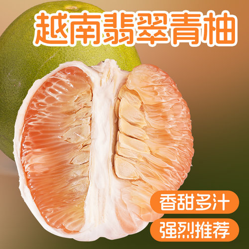 越南青柚树苗红肉嫁接正宗品种