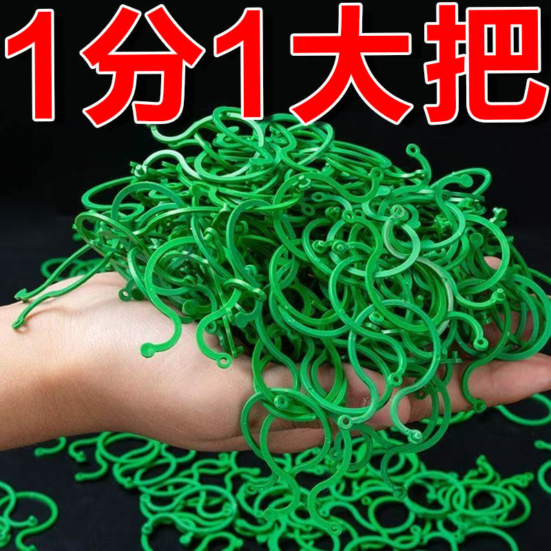 黄瓜西红柿豆角爬藤绑枝固定夹