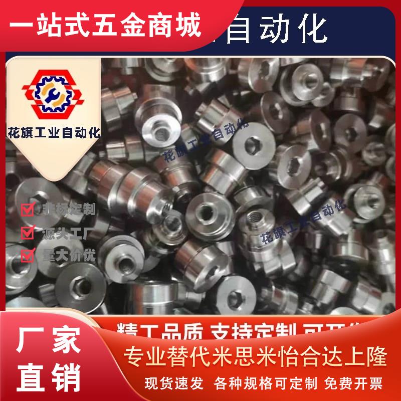 ICE12-T1.4/T1.8/T3.5/T5偏心销直线导轨定位销LLTS1.4/1.8/3.5/5