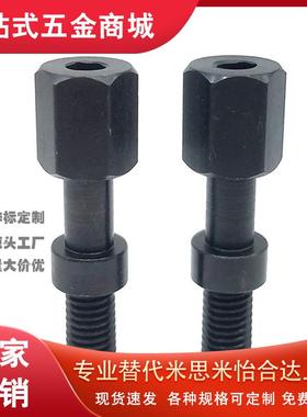 PAZ01调整螺栓内六角孔型AJSTR4/5/6/8-10/15/20/25/30/35/40/50