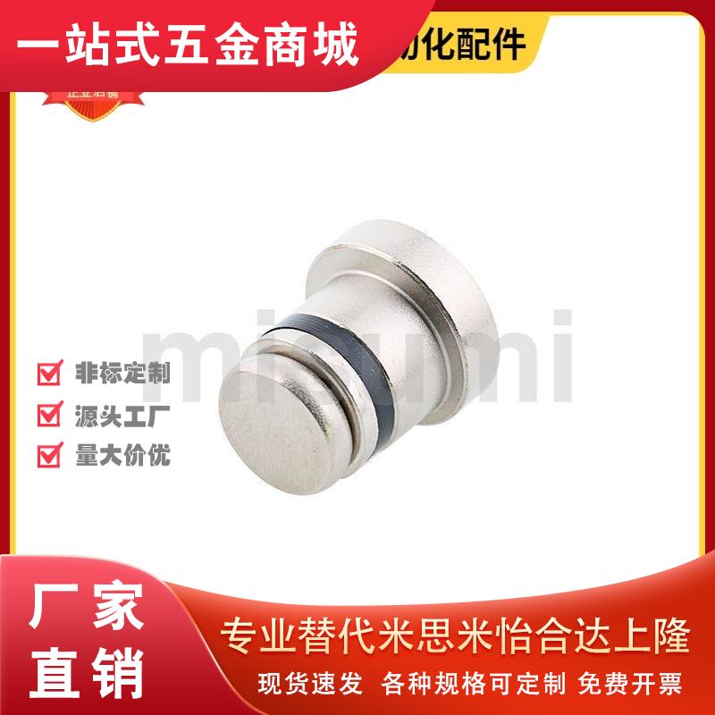 导轨用定位销 偏心销LLT3.5 LLT5 LLTS5 ICE11-T5不锈钢现货促销