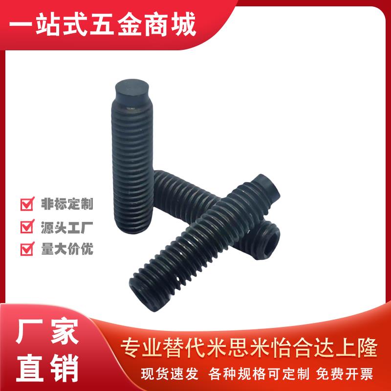 SBCT5/6--6-60聚氨脂缓止动螺栓 胶头防滑止动紧定螺栓 TDA01-M-L