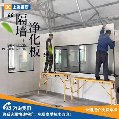 岩棉彩钢板隔墙断吊顶厂房无尘车间手术室实验室净化板洁净板材