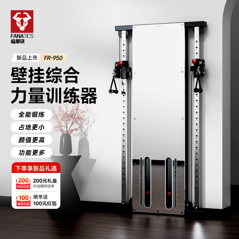 疯拿铁家用壁挂式小飞鸟综合训练器高位下拉健身器材多功能一体机