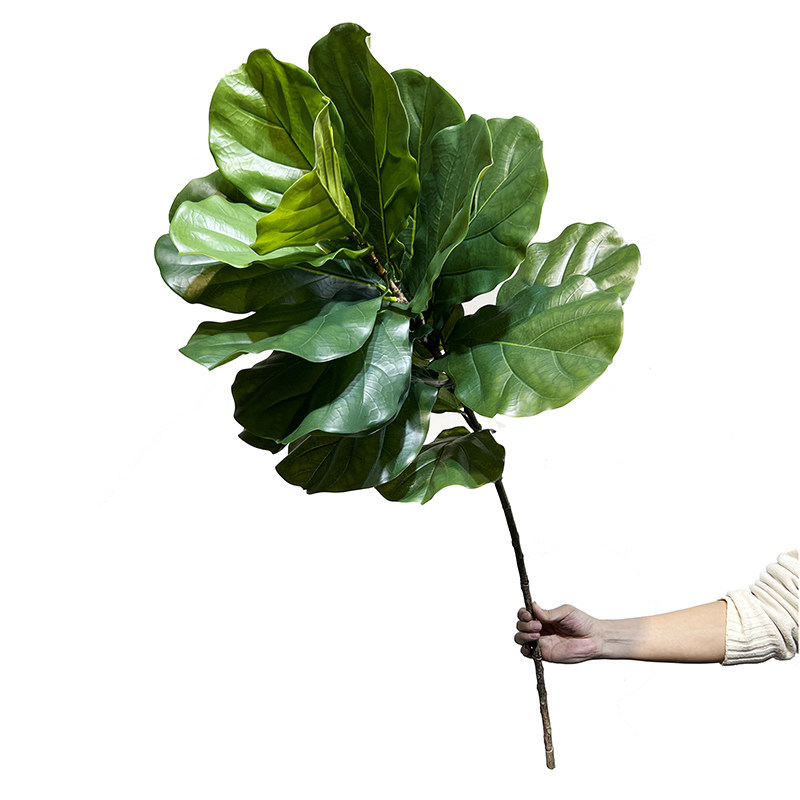 仿真单支琴叶榕树枝室内玄关端景花瓶搭配大叶片绿植物装饰摆设