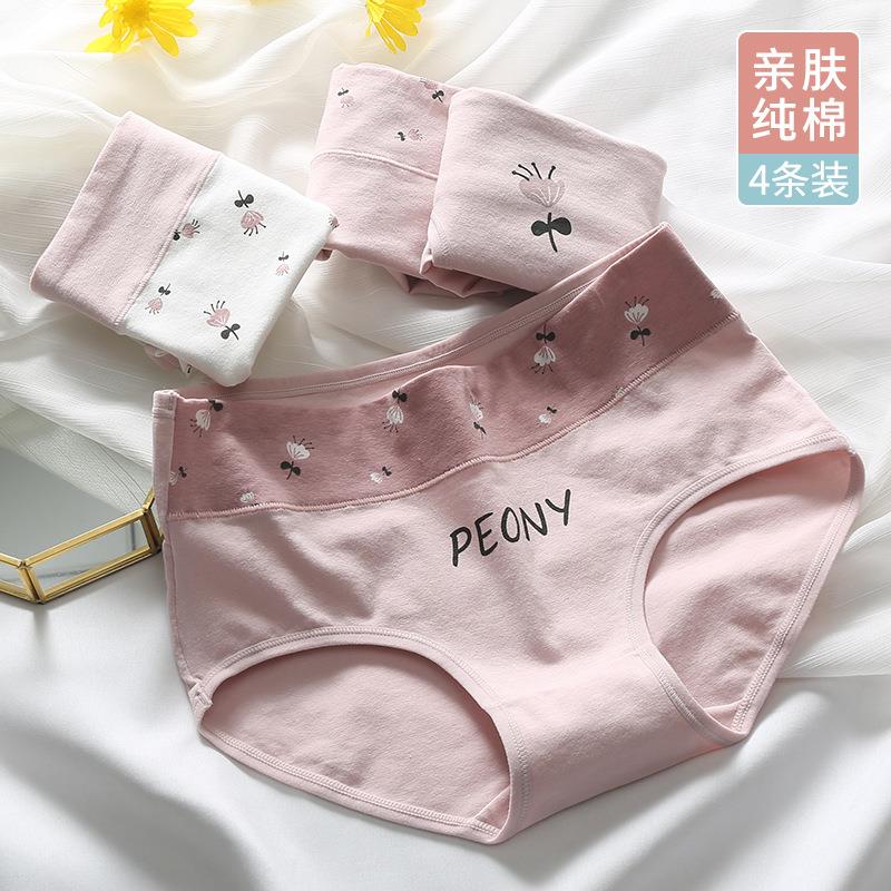 女内士裤纯棉高腰可爱URM中裤少女孩全棉短学生大码三角裤头支持