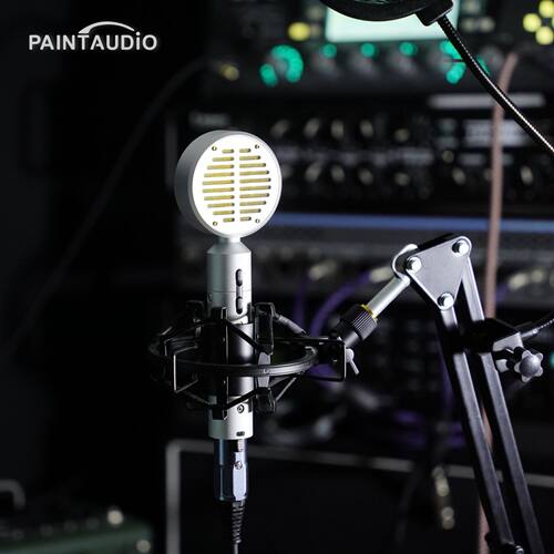 PaintAudio录音直播电容麦克风