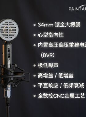 PaintAudio大振膜电容麦克风PM88专业录音直播唱歌话筒