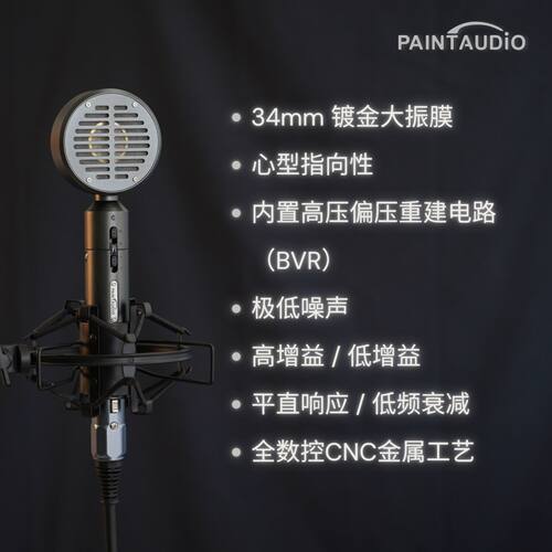 PaintAudio录音直播电容麦克风