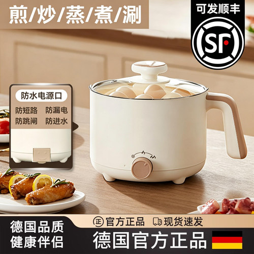 德国FZY电煮锅小型多功能电火锅