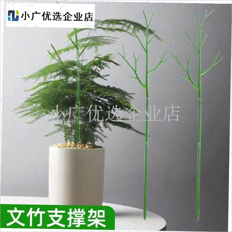 文竹支撑架植物固m定防倒伏龟背竹支撑杆绿萝爬藤花架支架园艺造\