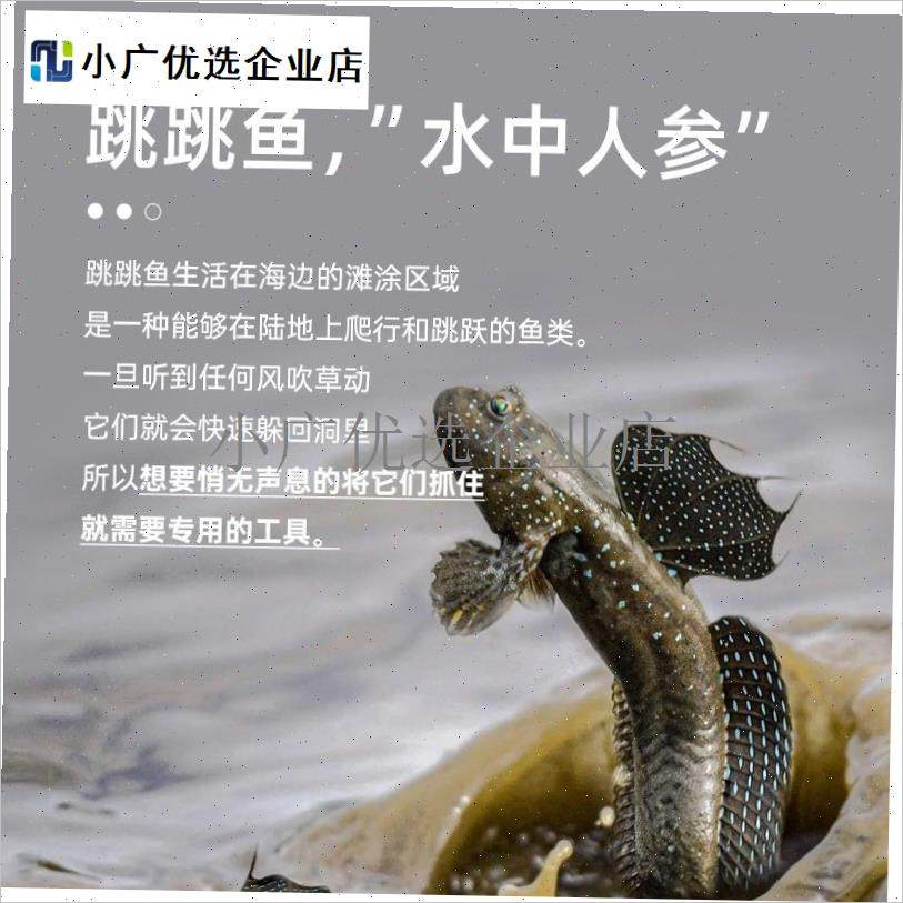 `钓跳跳鱼b钩弹涂鱼专用钩滩涂鱼钩钓钩不锈钢四爪锚钩抓跳跳鱼神