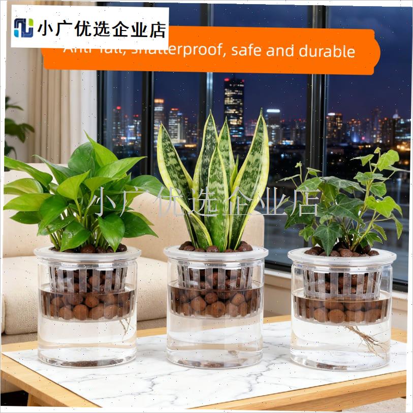 定植篮水培器皿绿萝虎皮兰专用水养植物容器花盆塑W料花瓶不是玻\
