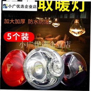 保温灯灯泡小猪用育雏养殖场专用猪舍加热猪圈取暖灯.猪场保暖烤\