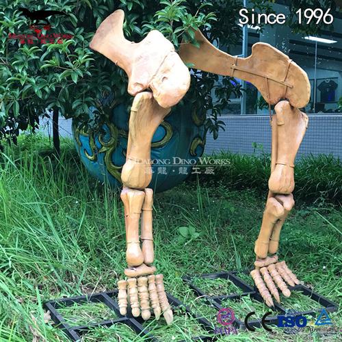 化石骨架恐龙脚模型仿真化石博物馆科技馆展览自贡恐龙厂家制作