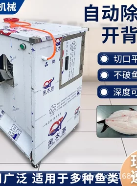 商用全自动小鱼杀鱼机去鱼鳞开背