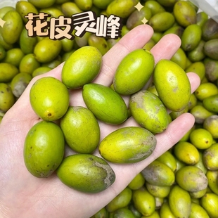 潮汕特产花皮灵峰橄榄新鲜现摘酥脆生吃甘香水果花皮凌峰青橄榄果