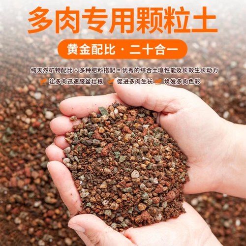 厂家发多肉专用营养土多肉土家用叶插铺面种植花土植物