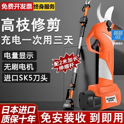德国进口斯蒂尔电动剪刀修剪树枝果树园艺剪子修枝剪树锂电剪刀剪