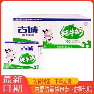 山西特产古城纯牛奶整箱200ml百利包袋营养早餐新鲜日期【16袋】