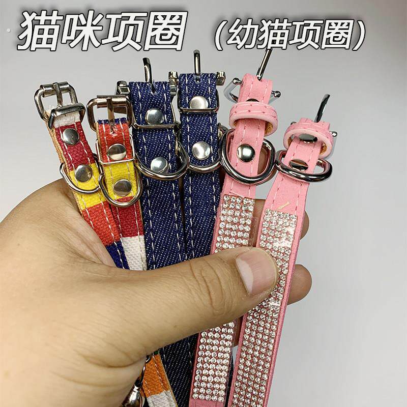 幼猫项圈 猫咪脖圈 铃铛项圈防挣脱防勒大小猫通用可栓猫结实耐用