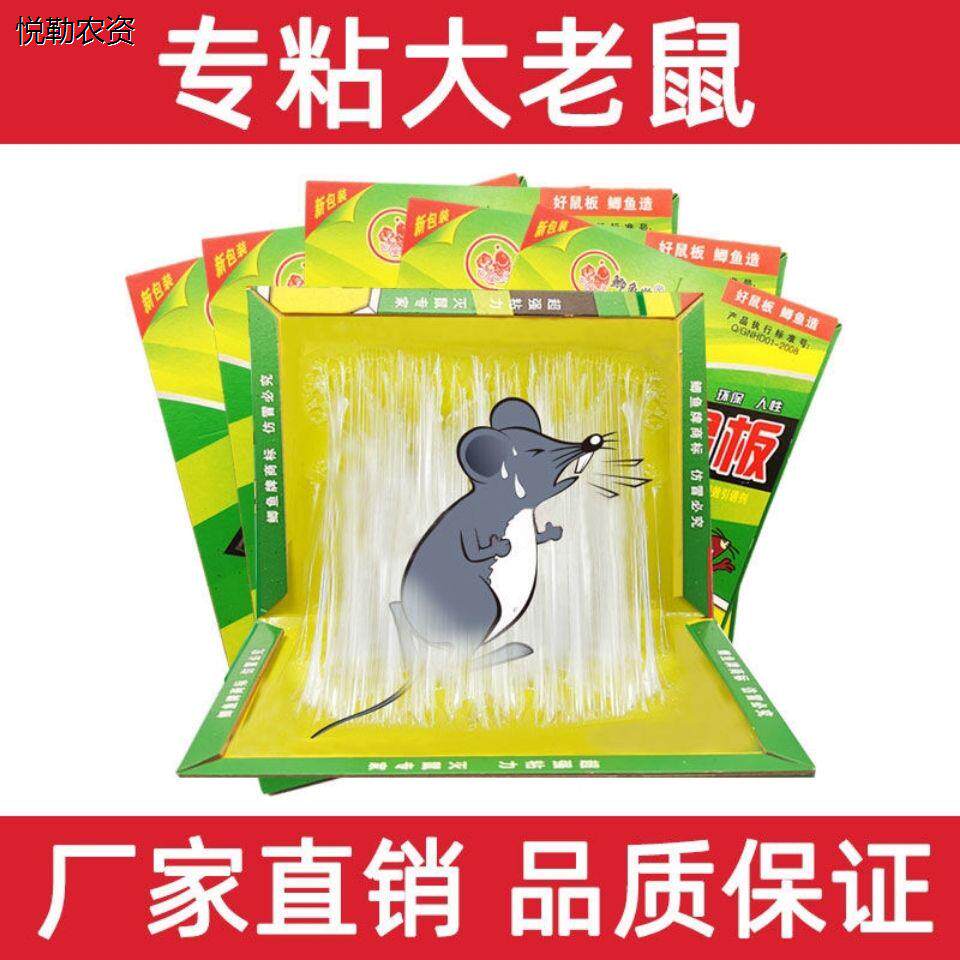 强力粘鼠板加厚加大胶贴
