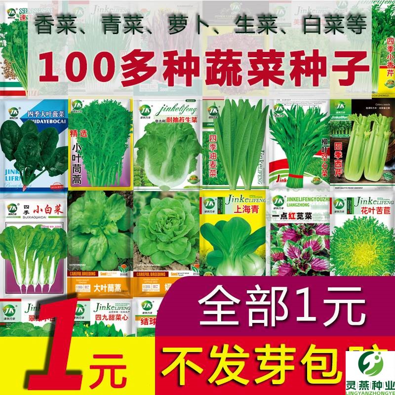 四季蔬菜种子大全秋冬萝卜籽种籽阳台香菜生菜菠菜小葱豆角包菜种