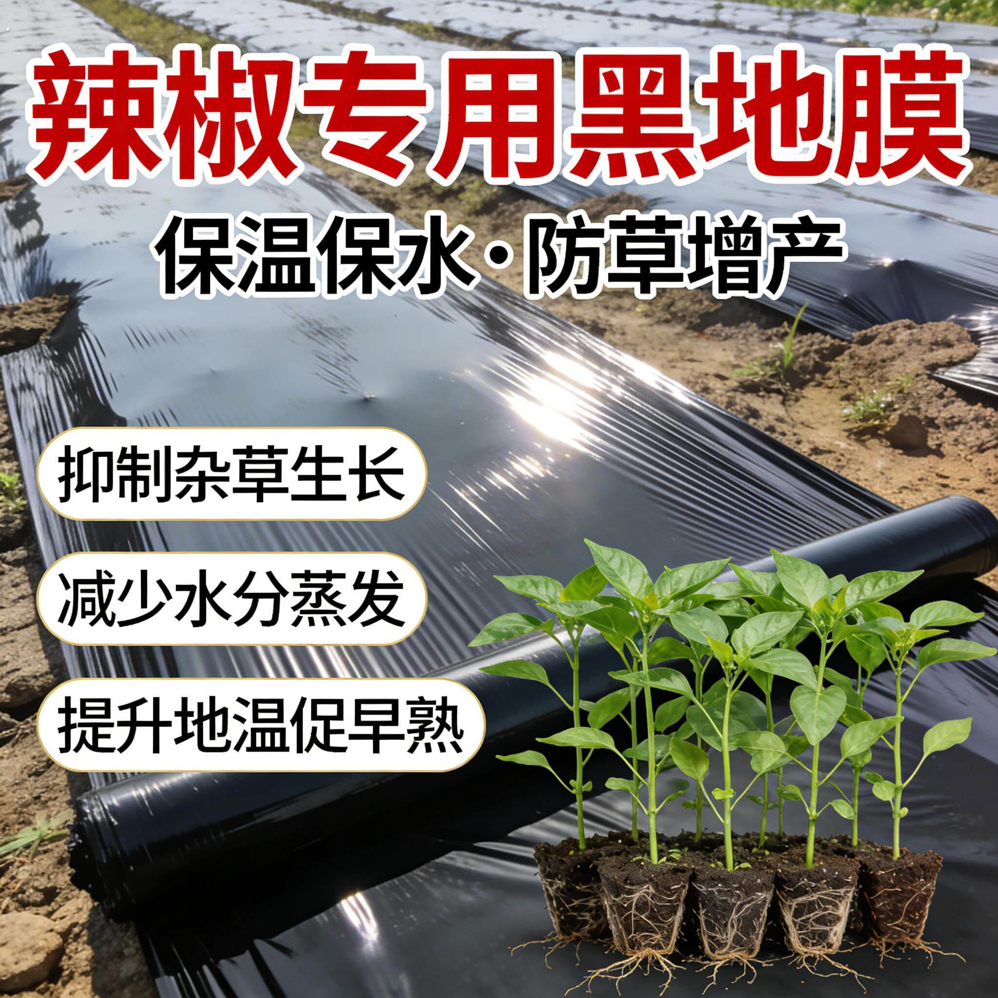 辣椒专用黑色地膜加厚小菜园盖菜防长草农用种植辣椒薄膜定制