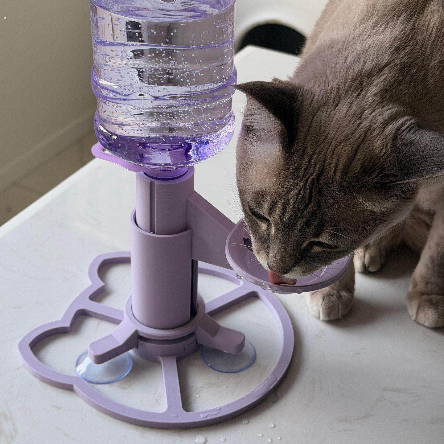 猫咪饮水机自动续水不插电防打翻护颈矿泉水瓶喝水碗宠物用品