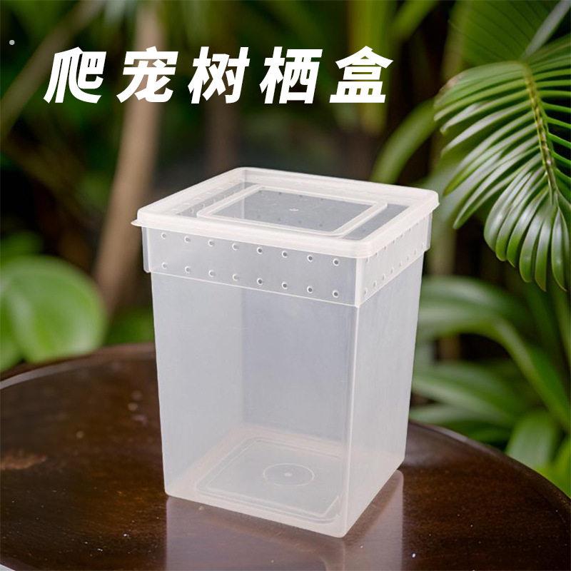 爬宠树栖盒饲养盒睫角守宫树蛙蜘蛛蜥蜴昆虫盒爬虫箱加高透气爬箱