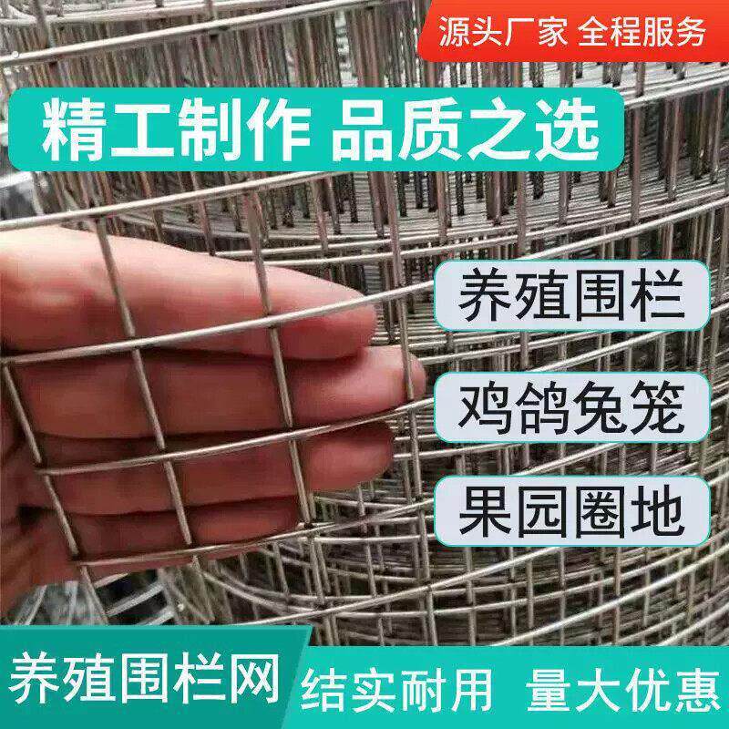 热镀锌铁丝网围栏网养殖网钢丝网拦鸡网建筑网防护网铁网格玉米网