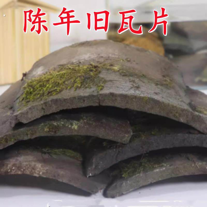 陈年旧瓦片土瓦片农村老房子瓦小瓦老屋子弧形小青瓦装饰黄缘龟景