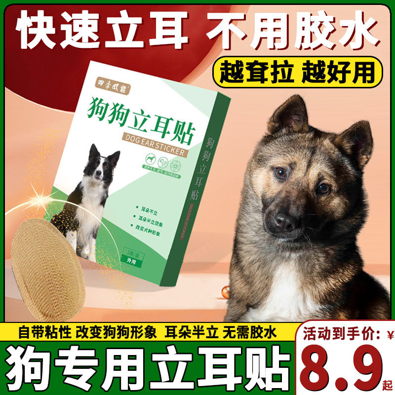 田园犬专用狗狗立耳神器小狗耳朵立耳器立耳贴幼犬竖耳辅助器夹子