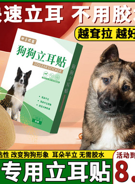 田园犬专用狗狗立耳神器小狗耳朵立耳器立耳贴幼犬竖耳辅助器夹子