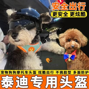 泰迪专用狗狗护目眼镜宠物狗摩托车头盔安全帽小狗电动车骑行装备