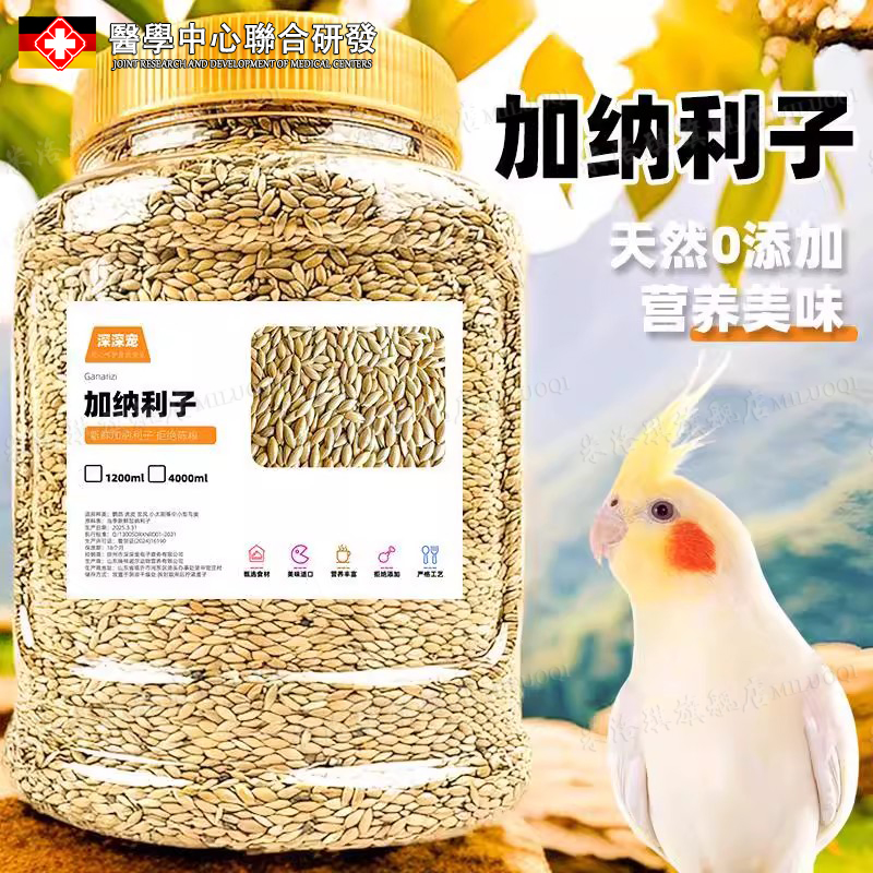 【营养美味】加纳利子奖励零食