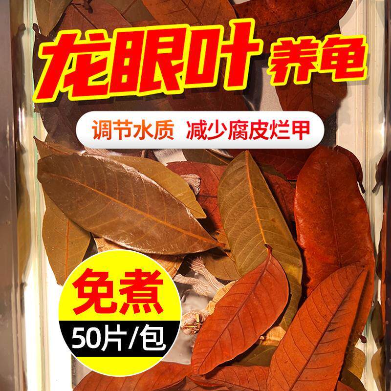 龙眼叶养龟免煮乌龟腐皮烂甲躲避龟用叶子龟缸桂圆叶改善水质造景