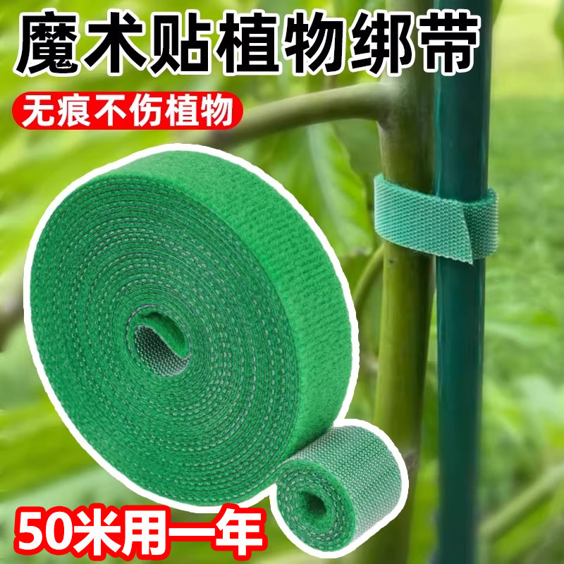 园艺捆扎线植物绑带自粘尼龙双面魔术贴绿植花卉爬藤固定捆绑造型