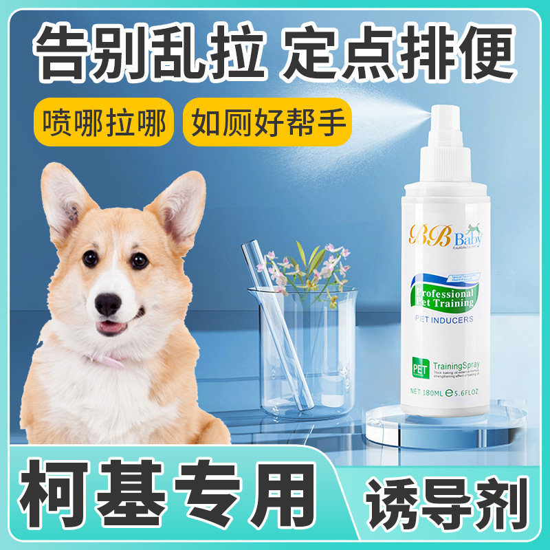 柯基专用定点排便神器训练狗狗上厕所诱导剂小狗尿尿引诱剂大小便