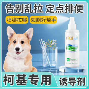 柯基专用定点排便神器训练狗狗上厕所诱导剂小狗尿尿引诱剂大小便