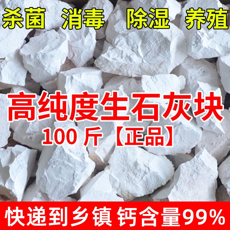 生石灰块粉50斤鱼塘消毒杀菌驱虫净水刷树养殖吸潮干燥剂土壤白灰
