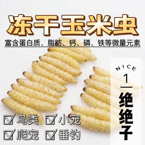 【肥美营养】特大冻干零食玉米虫