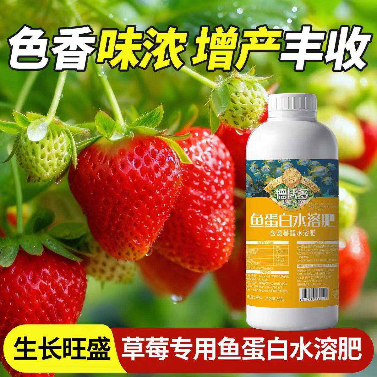 草莓专用鱼蛋白水溶肥膨果增甜有机肥氨基酸叶面肥瓜果肥料营养液,鲜花速递/花卉仿真/绿植园艺,家庭园艺肥料,淘宝优惠券,粉丝福利购,淘宝优惠卷