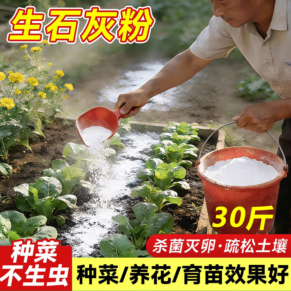 【种菜专用】生石灰粉正宗白灰粉家用菜地消毒防潮吸霉树木干燥剂