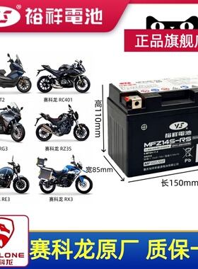 适用于宗申赛科龙RX3 RX1 RX4 RZ3S RG3 RE3 RT3 RC401 RX500电瓶