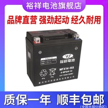 裕祥电池摩托车大排量电瓶YTX14-BS12V14A宝马1200 哈雷883蓄电瓶